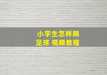 小学生怎样踢足球 视频教程